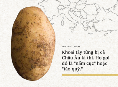 lịch sử khoai tây
