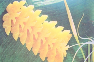 Cắt tỉa rau củ quả: Mẫu trang trí từ trái thơm