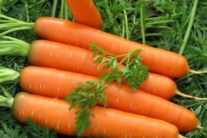 Chất dinh dưỡng trong rau và củ: Cà rốt rất giàu caroten