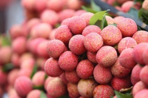 Trái cây Việt: Mình yếu ở khâu chế biến, bảo quản sau thu hoạch