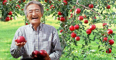 Vườn táo của Kimura